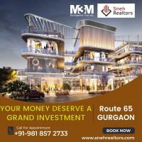 M3M Route 65 Avenue